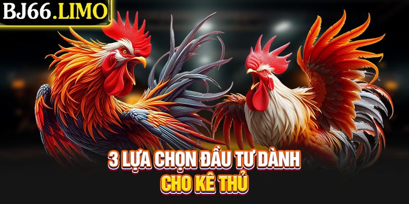 3 lựa chọn đầu tư dành cho kê thủ