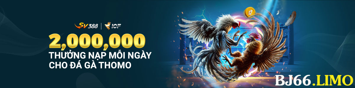 bannerbj66