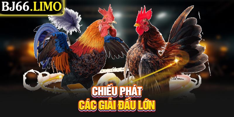 Chiếu phát các giải đấu lớn