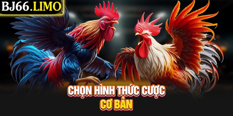 Chọn hình thức cược cơ bản