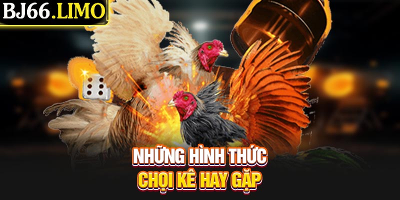 Những hình thức chọi kê hay gặp