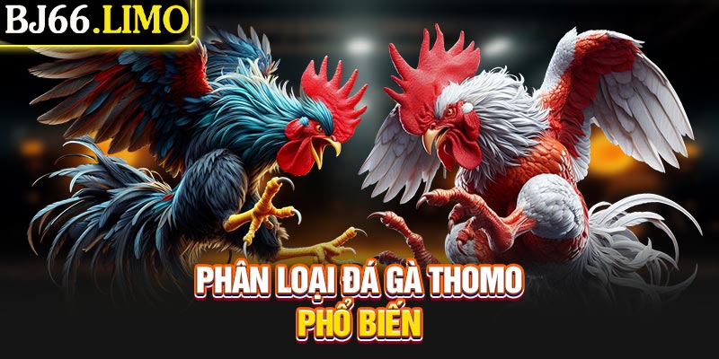 Phân loại đá gà Thomo phổ biến