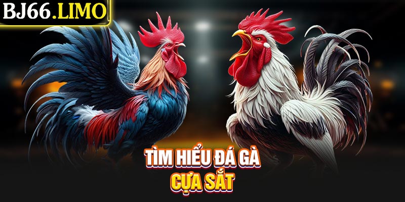 Tìm hiểu đá gà cựa sắt